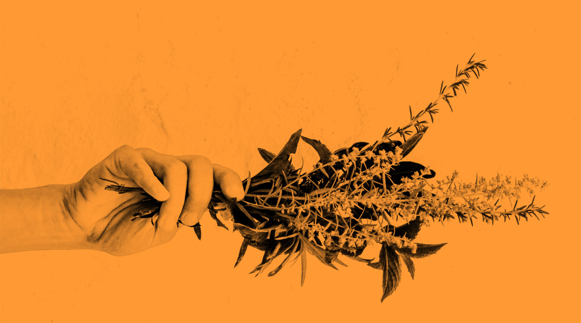 Immunsystem stärken